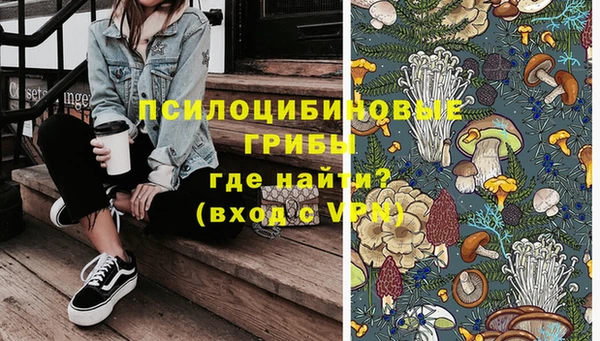 дмт Покачи
