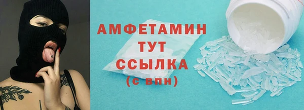 гидра Аркадак