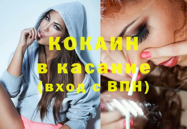 гидра Аркадак