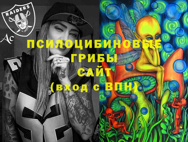 гидра Аркадак