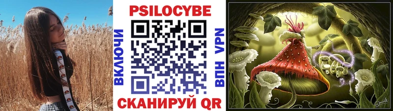 Галлюциногенные грибы Psilocybe Михайловск