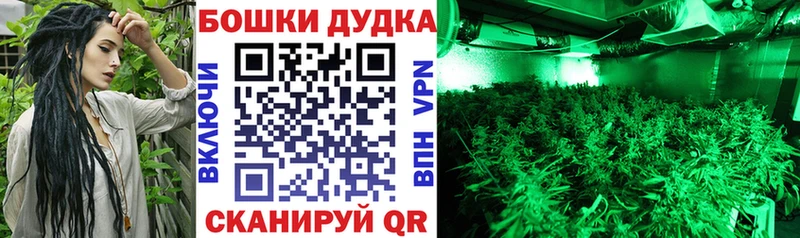 Конопля марихуана Михайловск